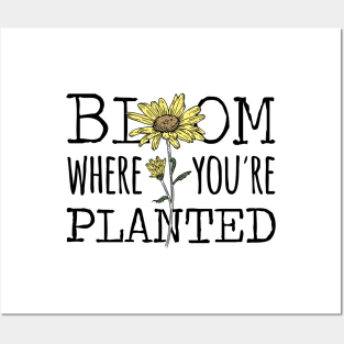 Bloom Where You're Planted Sunflower Posters and Art